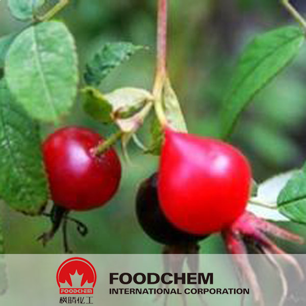 Rose Hip Extract